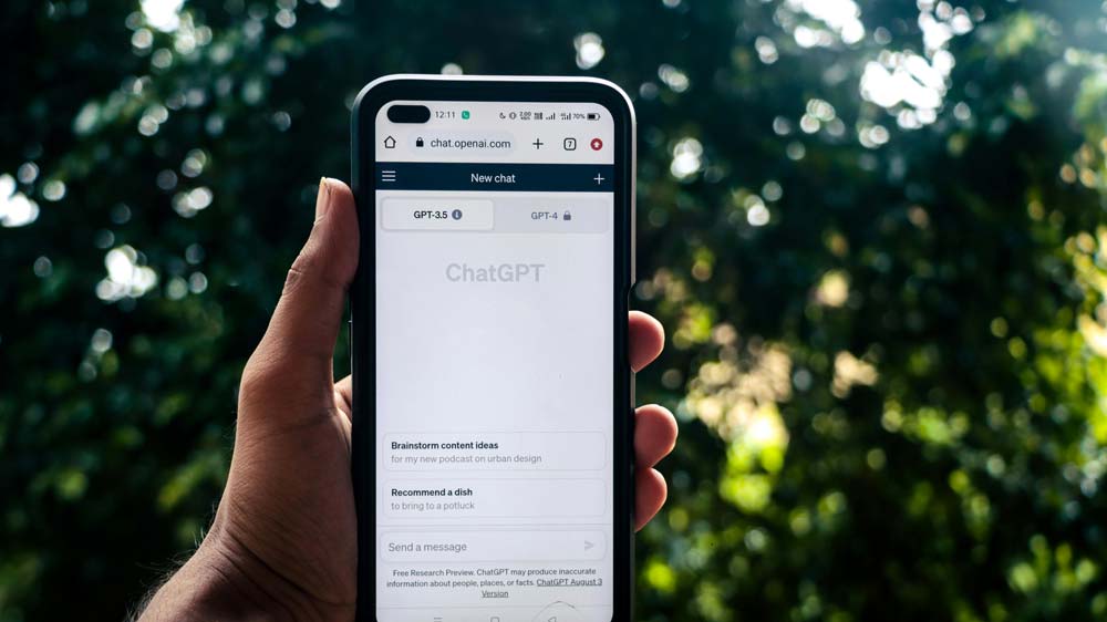 Ansicht meiner Google Bewertungen die man in der Übersicht seines Local Guide Profils bei Google Maps finden kann.